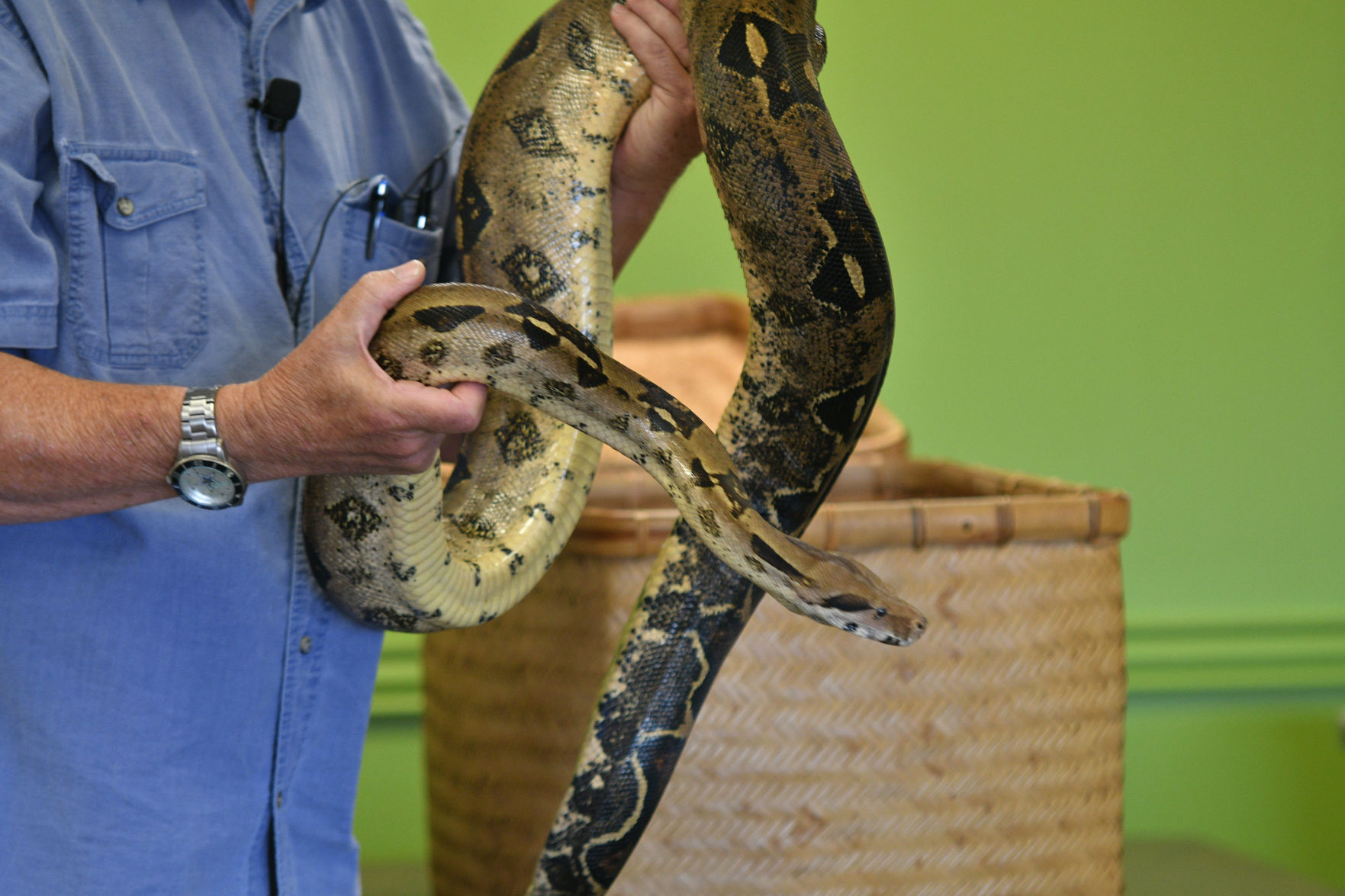 Snake Day at Clara B. Mounce Public Library